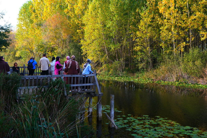 Karadeniz Manzarası