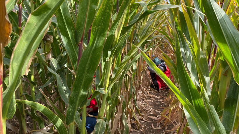 Arama Kurtarma Ekipleri Çalışmalarını Sürdürüyor