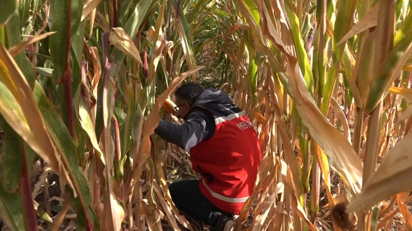 Elazığ’da kaybolan Veysel Bilen