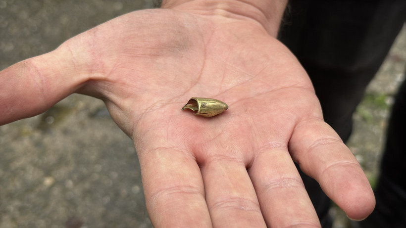 Kedinin tedavi süreci