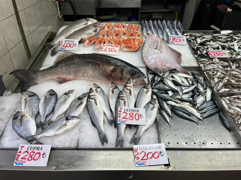 Levrek ve Kalkan Balığı