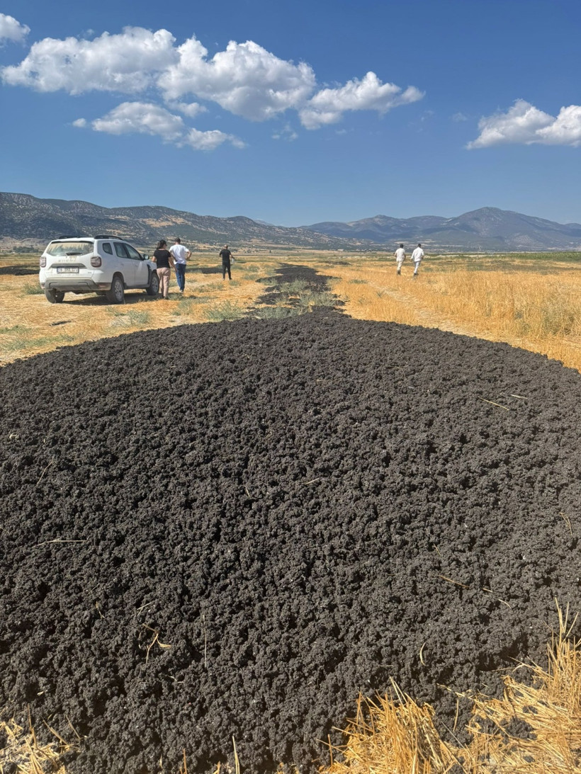 Arıtma Çamuru İle İlgili Detaylar
