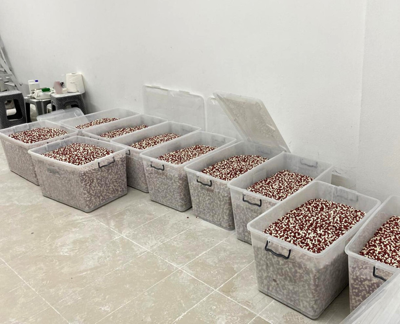 Uyuşturucu Ölümleri