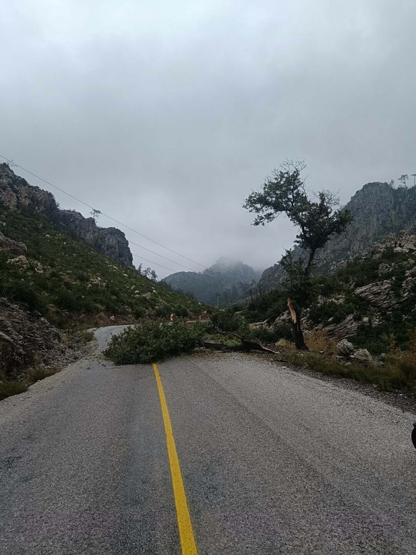 Yelkenli tekneler karaya oturdu