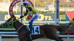 45. Cumhuriyet Koşusu'nu Gökırmak kazandı