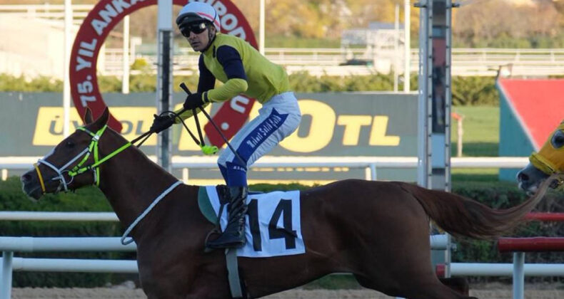 45. Cumhuriyet Koşusu'nu Gökırmak kazandı