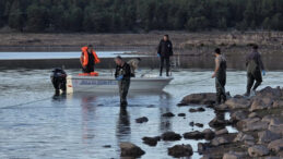 500 Balığın Hayatı Kurtarıldı