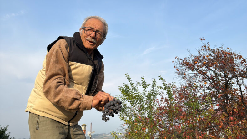 86 Yaşında, 54 Çeşit Meyveyle Türkiye'ye Hizmet Ediyor