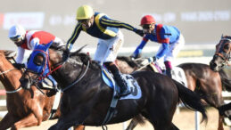 87. Cumhurbaşkanlığı Koşusu'nda Grande Flusso'nun Zaferi: Ayhan Kurşun Tarihe Geçti