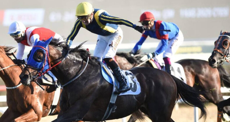 87. Cumhurbaşkanlığı Koşusu'nda Grande Flusso'nun Zaferi: Ayhan Kurşun Tarihe Geçti