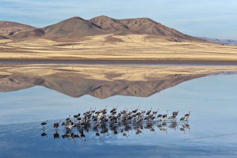 Kuşların Gölü Ziyareti