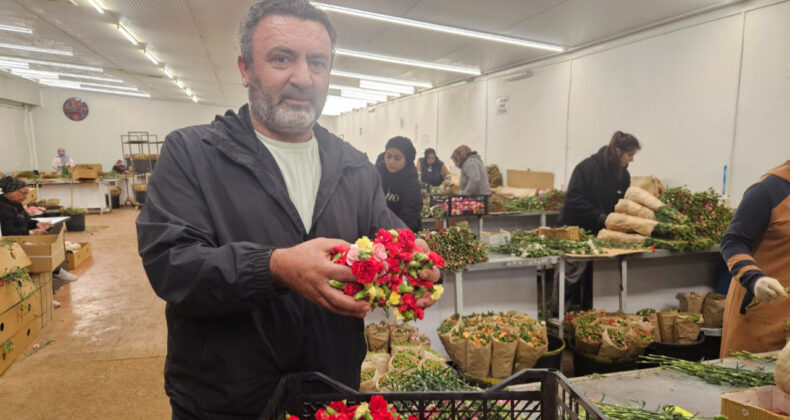 AB'nin Yasak Kararı T&uuml;rk &Uuml;reticiye Yarar Sağladı: &Uuml;&ccedil; Milyon Dolarlık İhracat Ger&ccedil;ekleşti