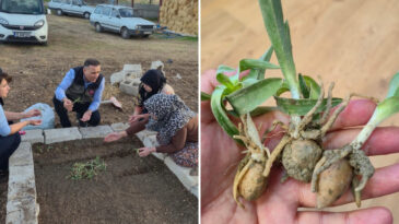 Afyonkarahisar'da Saleple Kadınlardan G&uuml;&ccedil;l&uuml; Adım