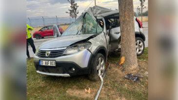 Ağaca &ccedil;arpan otomobil ikiye b&ouml;l&uuml;nd&uuml;: Gen&ccedil; kadın hayatını kaybetti