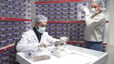 Akrep Tesisiyle D&uuml;nya Pazarına A&ccedil;ılım