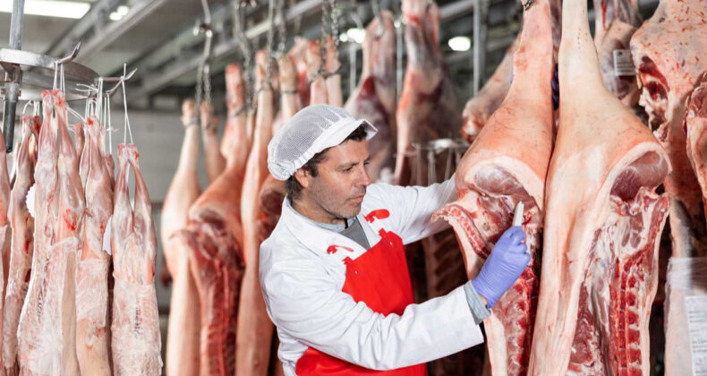 Almanlar, Kırmızı Et T&uuml;ketemeyen T&uuml;rkleri G&uuml;ndeme Getirdi