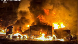 Almanya'ya 1,2 Milyon Ukraynalı Sığınmacı Yerleşti