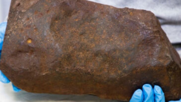 Altın Sandığı Taş, &Ccedil;ok Daha Değerli &Ccedil;ıktı!