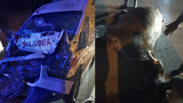 Ambulans Mandaya &Ccedil;arptı