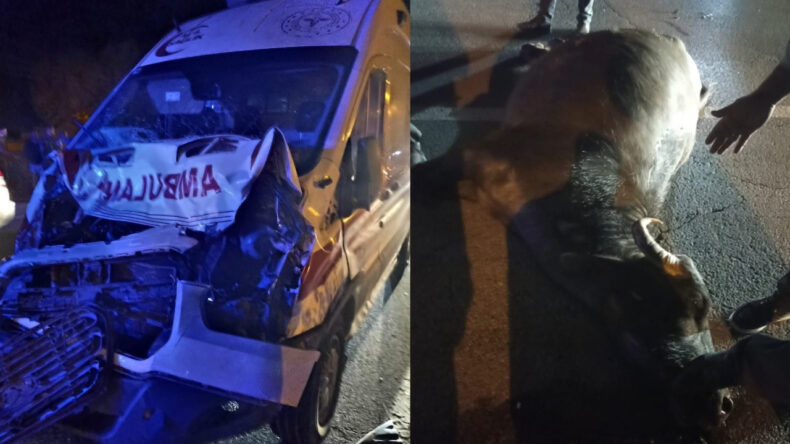Ambulans Mandaya Çarptı
