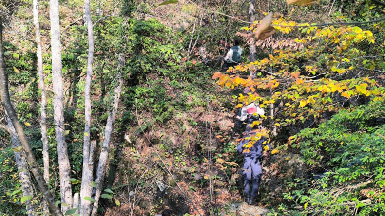 Annenin cesedi kuzgun takibiyle bulundu: Birinin oraya gitmesi korkunç