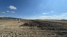 Antalya'daki Arıtma &Ccedil;amurunu Burdur'a D&ouml;k&uuml;ld&uuml;ğ&uuml; Tespit Edilen Firma 48,6 Milyon Lira Ceza Aldı