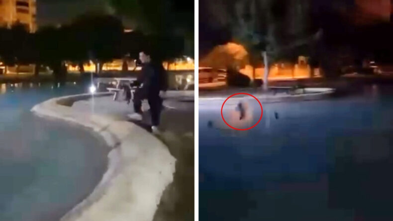 Antalya’da Vicdansızlık! Sokak Kedisini Defalarca Havuzda Attılar