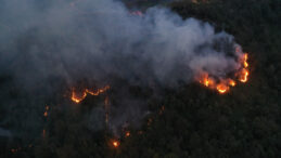 Artvin&rsquo;de &ouml;rt&uuml; yangını