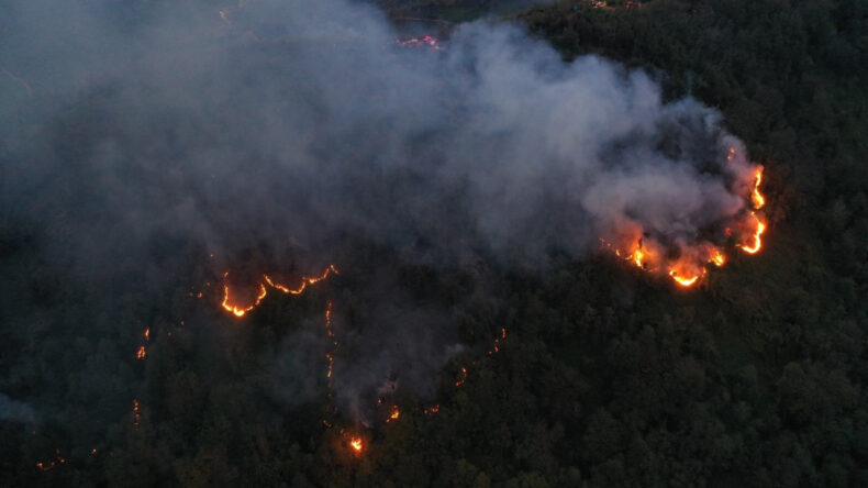 Artvin&rsquo;de &ouml;rt&uuml; yangını
