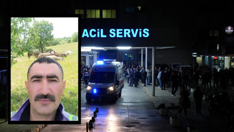 Avcı, Çobanı Hayatından Etti