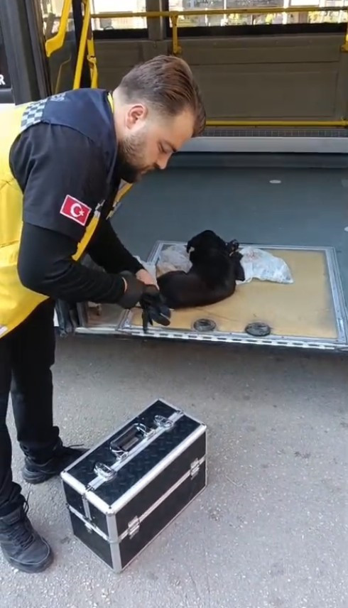 Musa Bayındır'ın köpeği veteriner hekimlere emanet ettiği an.