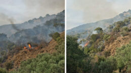 Aydın'da Orman Yangını
