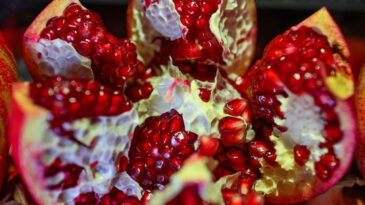 Bağışıklık Sistemini Gençleştiren Doğal Bileşik: Urolithin A