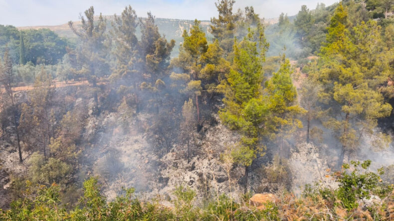 Bahçede Yaktığı Ateş Sonucunu Düşündürttü
