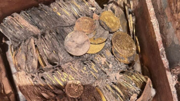 Bah&ccedil;eden &ccedil;ıkan hazine: 500 sikke yarım asır sonra ortaya &ccedil;ıktı