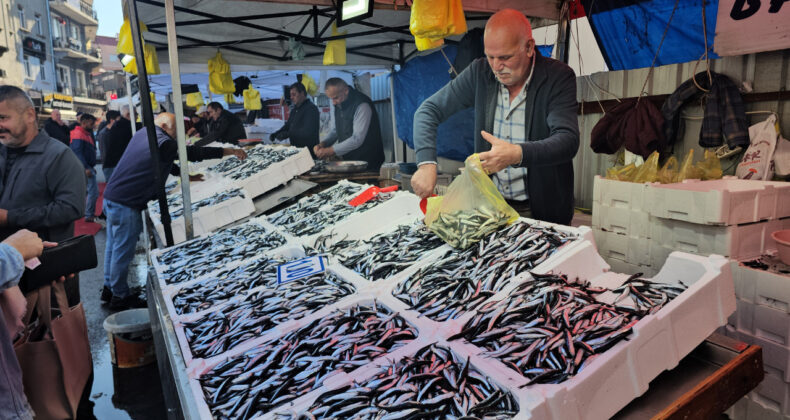 Balık Tezgahlarında Hamsi Bereketi