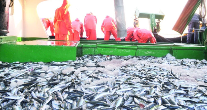 Balıkçılar Zor Günler Geçiriyor, Tekneler Afrika Sularında