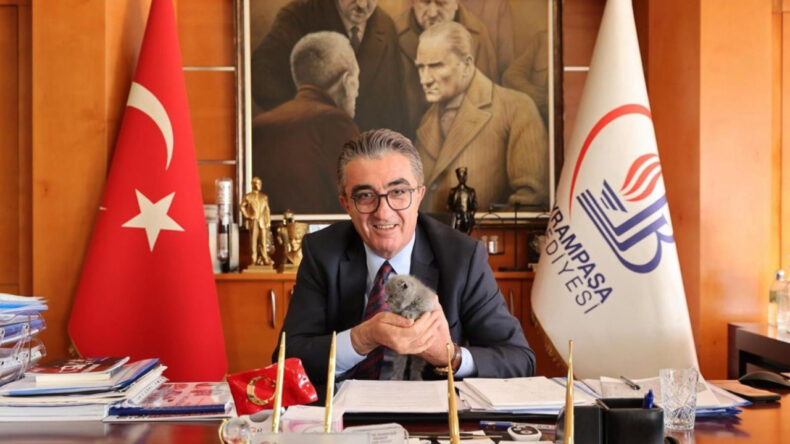 Bayrampaşa Belediyesi'nde Kedi Tartışması