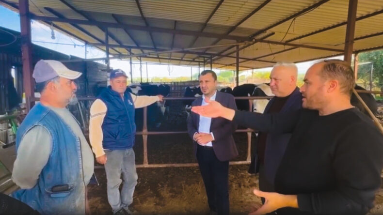 Besiciler Dert Yandı: Kahvede Otursak Bu Kadar Zarara Girmeyiz