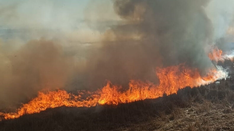 Beyşehir&rsquo;de Sazlıklar Alev Alev Yandı