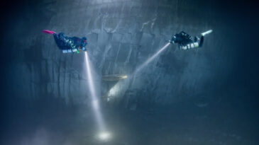 Bilim İnsanları Uyardı: Denizlerdeki Besin Zincirine Dikkat!