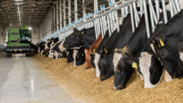 Bir Tesis Kapanıyor: B&ouml;lgedeki &Uuml;&ccedil; Kişiden Biri İşsiz Kalacak