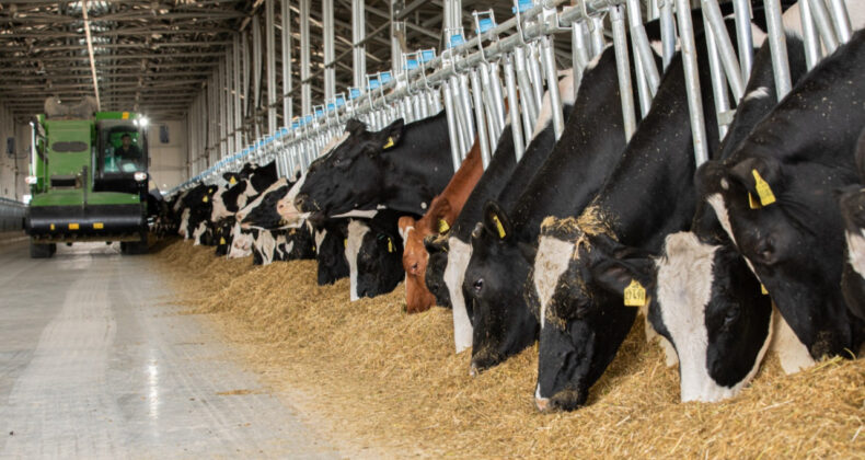 Bir Tesis Kapanıyor: B&ouml;lgedeki &Uuml;&ccedil; Kişiden Biri İşsiz Kalacak