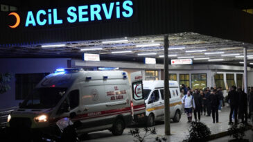 Budamak İ&ccedil;in &Ccedil;ıktığı Ağa&ccedil;tan D&uuml;şerek Hayatını Kaybetti