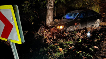 Bursa'da otomobil ağaca &ccedil;arptı: 3 yaralı