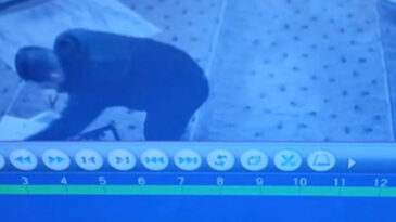 Cami Parası Toplanan Yardım Kutuları Soyuldu