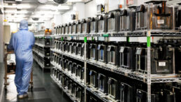 &Ccedil;in: &Ccedil;ip Sekt&ouml;r&uuml;ndeki Tedarik Krizinin Sorumlusu Hollanda