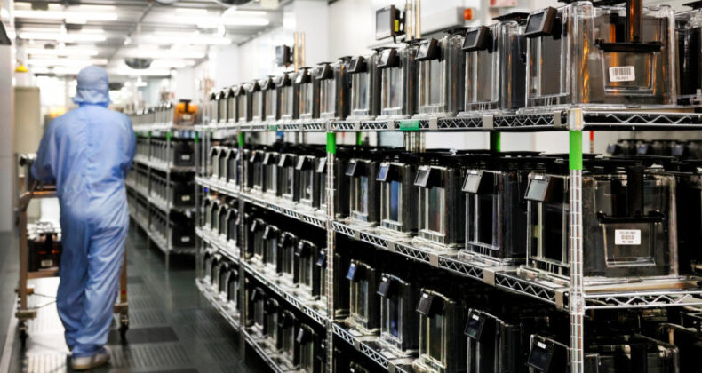 &Ccedil;in: &Ccedil;ip Sekt&ouml;r&uuml;ndeki Tedarik Krizinin Sorumlusu Hollanda