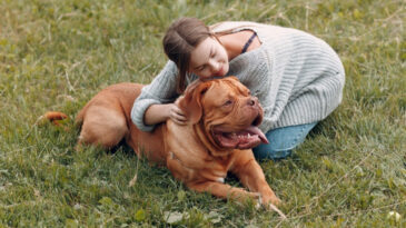 Çarpıcı araştırma: Bu köpeklerin kanser riski daha yüksek