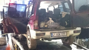 &Ccedil;ekici &Uuml;zerinde Cinayet